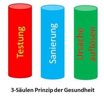 Radiästhetische Testung, Ausleitung von Giften und Schwermetallen, Informations-Änderung